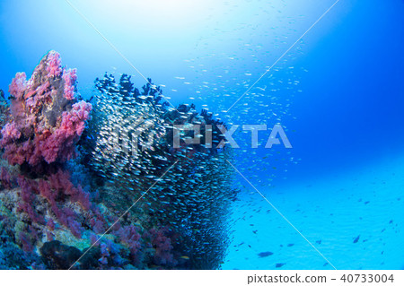 水下景觀 40733004