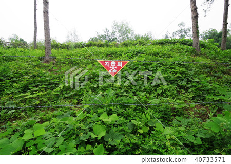 Minefield mark of demilitarized zone 40733571