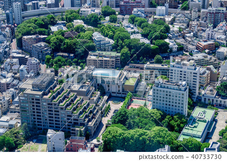 Tokyo cityscape Tokyo cityscape 40733730