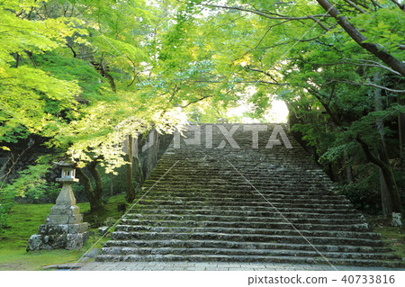 四國神社工廠31號佛教寺院“和歌山山竹寺”即將來臨 四國神社工廠31號佛教寺院“和歌山山竹寺”即將來臨 40733816