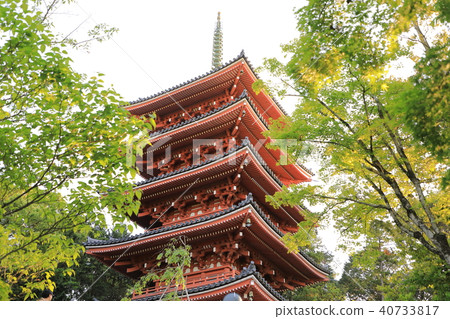 四國神社平台31號佛教'Wakayama Takebayashiji'五層寶塔 四國神社平台31號佛教'Wakayama Takebayashiji'五層寶塔 40733817