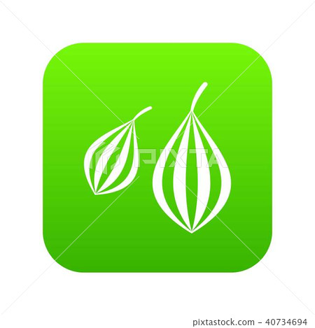 Trachyspermum ammi icon digital green 40734694