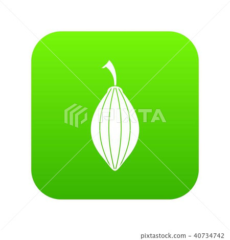 Black cardamom pod icon digital green Black cardamom pod icon digital green 40734742