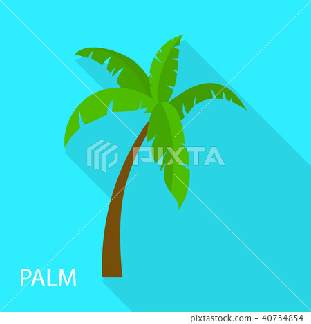Palm tree icon, flat style 40734854