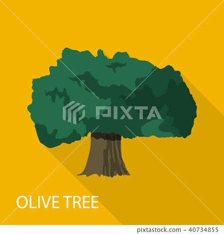 Olive tree icon, flat style 40734855