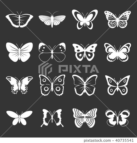 Butterfly icons set grey vector Butterfly icons set grey vector 40735541