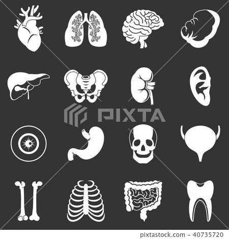 Human organs icons set grey vector 40735720