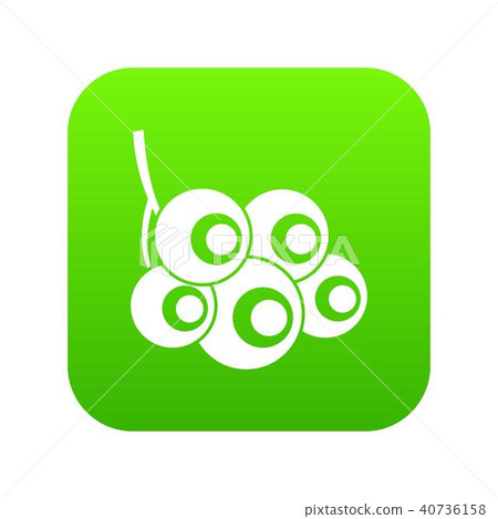 Viburnum branch icon digital green Viburnum branch icon digital green 40736158