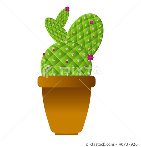 Isolated cute cactus 40737926