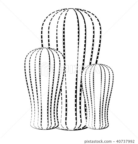 Sketch of a cactus Sketch of a cactus 40737992