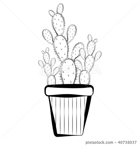 Sketch of a cactus 40738037