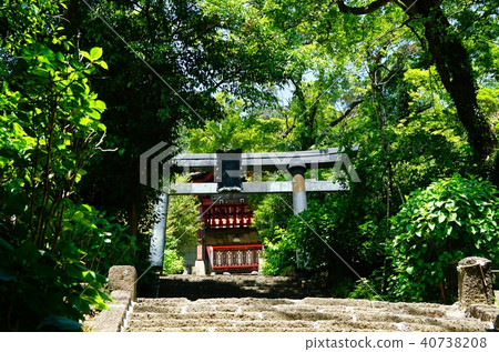 Ohirirayama shrine of spring Ohirirayama shrine of spring 40738208