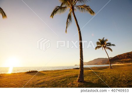 Hawaiian beach 40740933