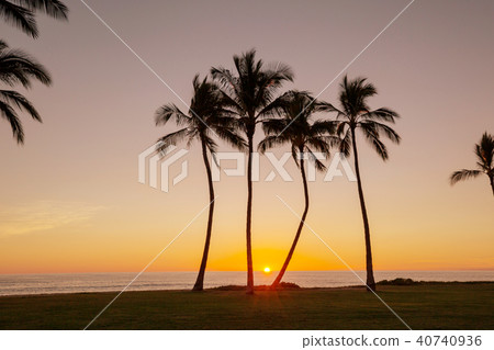 Hawaiian sunset 40740936