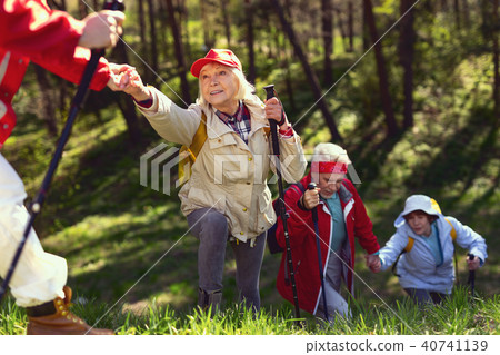 Alert team hiking in the forest 40741139