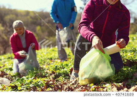 Alert volunteers gathering litter in the forest Alert volunteers gathering litter in the forest 40741689