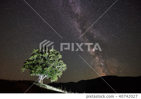 Lonely high tree under starry night sky and Milky way 40742027