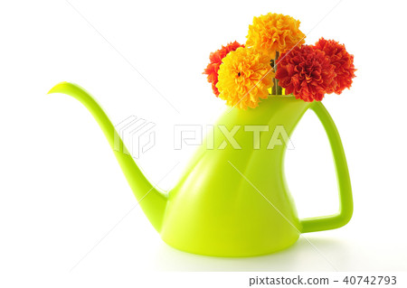 瑪麗金〜非洲〜 40742793