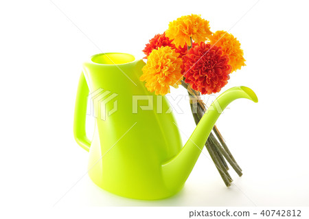 瑪麗金〜非洲〜 40742812