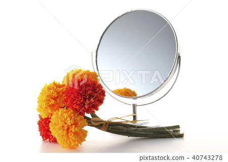 鏡子和萬壽菊 40743278