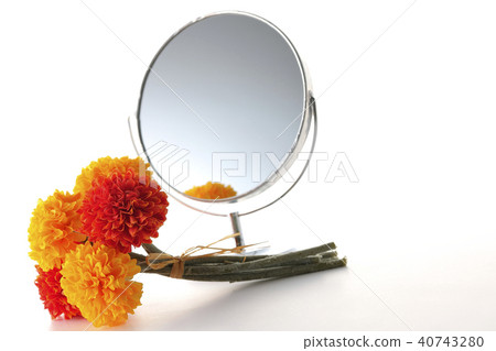 鏡子和萬壽菊 鏡子和萬壽菊 40743280