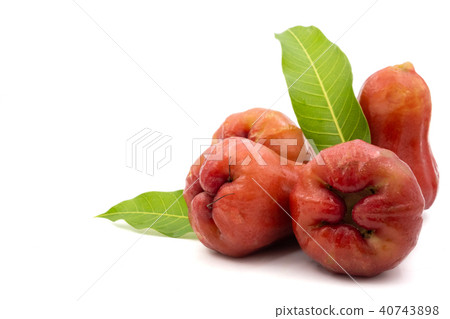 Rose apples on a white background 40743898