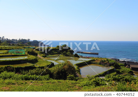 Sodei的水稻梯田(Soba no Tanada)京都府Tango City Tangocho Sodeki Sodei的水稻梯田(Soba no Tanada)京都府Tango City Tangocho Sodeki 40744052