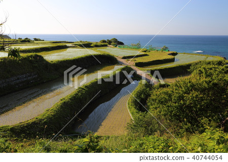 Sodei的水稻梯田(Soba no Tanada)京都府Tango City Tangocho Sodeki Sodei的水稻梯田(Soba no Tanada)京都府Tango City Tangocho Sodeki 40744054