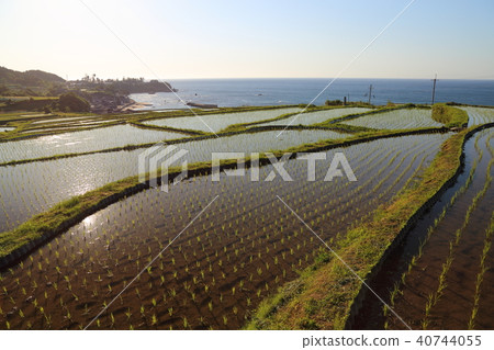 Sodei的水稻梯田（Soba no Tanada）京都府Tango City Tangocho Sodeki 40744055