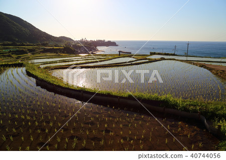 Sodei的水稻梯田（Soba no Tanada）京都府Tango City Tangocho Sodeki 40744056