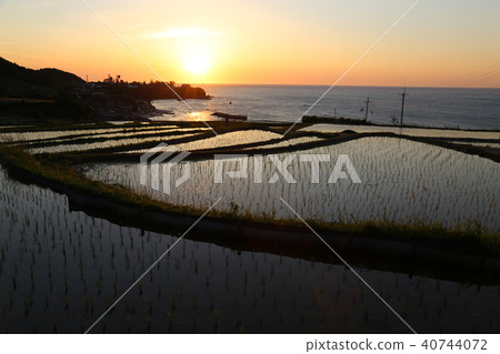 Sodei的水稻梯田（Soba no Tanada）京都府Tango City Tangocho Sodeki 40744072
