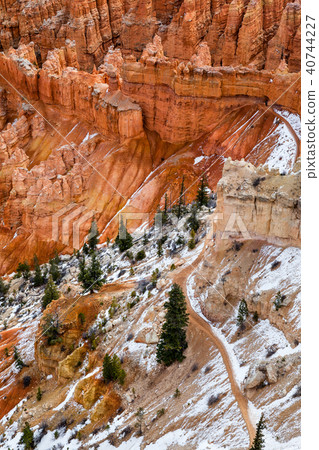 Hoodoo Rocks With Pine Trees In Bryce Canyon, USA Hoodoo Rocks With Pine Trees In Bryce Canyon, USA 40744227