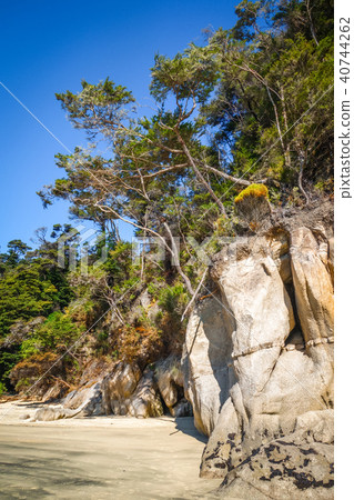 Creek in Abel Tasman National Park, New Zealand 40744262