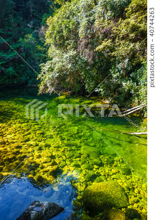 River in Abel Tasman National Park, New Zealand 40744263