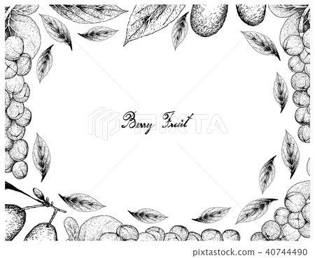 Coccoloba Uvifera and Cornelian Cherries 40744490