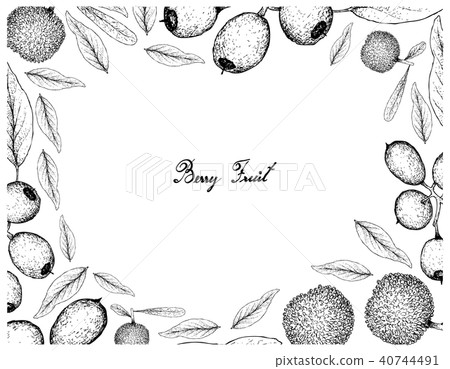 Bayberry and Cleistocalyx Operculatus Fruits 40744491