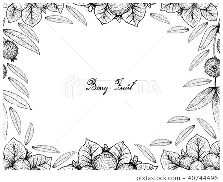 Coralberries and Cabeludinha Fruits 40744496