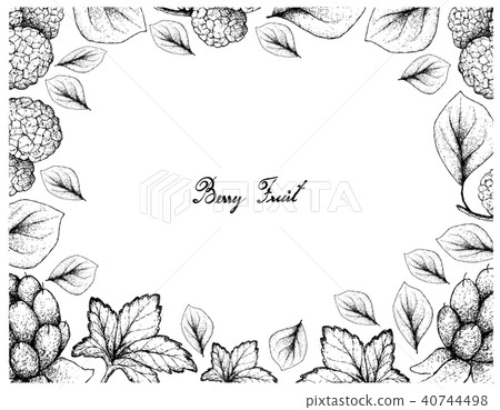 Cloudberries and Chinese Mulberries 40744498