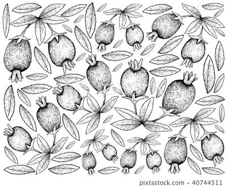 Hand Drawn Background of Cherry of the Rio Grande Hand Drawn Background of Cherry of the Rio Grande 40744511