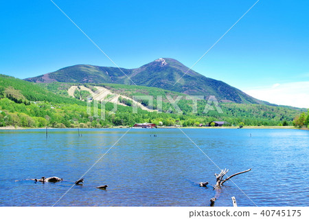 Lake Goddess Lake Tateshinayama 40745175