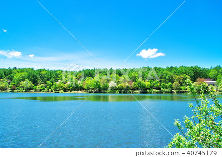 Lake Goddess Lake Tateshinayama 40745179