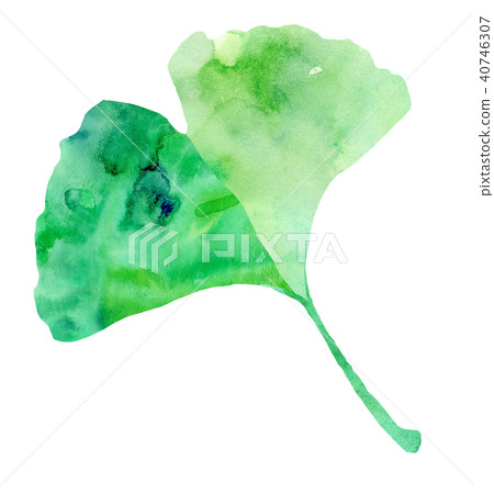 Green and green 40746307