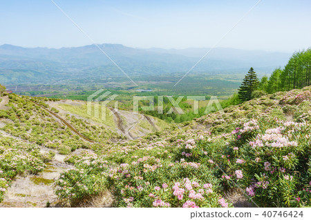 View from Asama Highlands 40746424