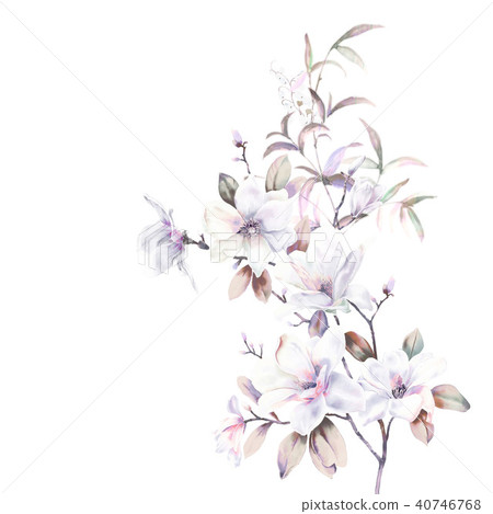 水彩玫瑰牡丹花卉 水彩玫瑰牡丹花卉 40746768