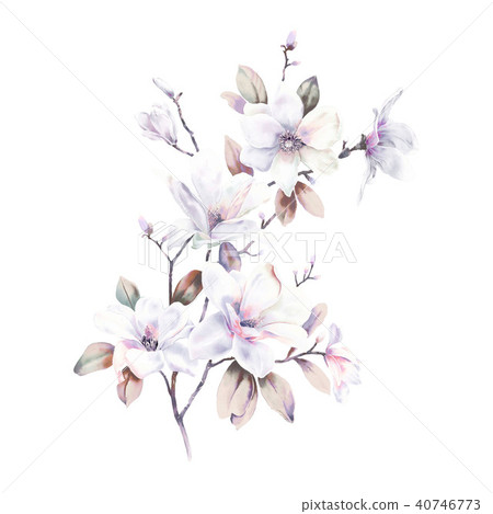 Watercolor rose peony flower 40746773