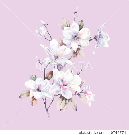 Watercolor rose peony flower 40746774