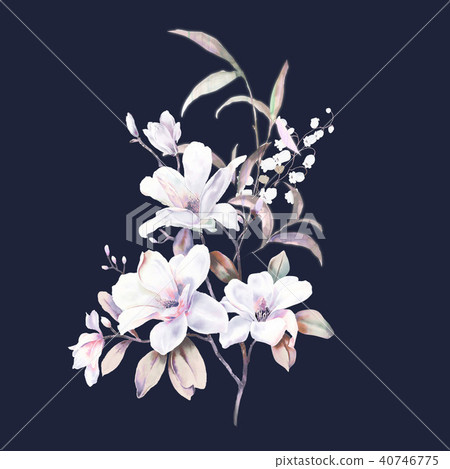 水彩玫瑰牡丹花卉 40746775