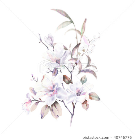 Watercolor rose peony flower 40746776