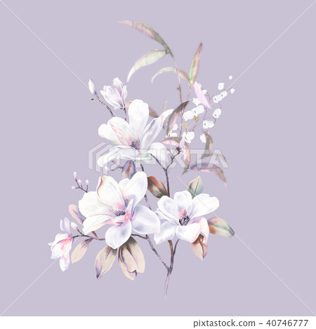 水彩玫瑰牡丹花卉 40746777