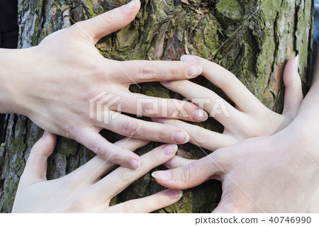 Men's and woman's hands hugging a tree. 40746990